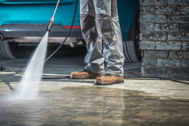 Best Winterizing Services  in Oviedo, FL